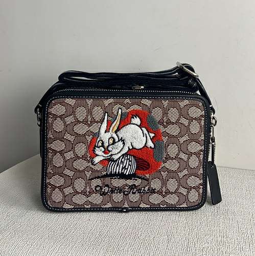 Picture of Coach Lady Handbags _SKUfw145257581fw